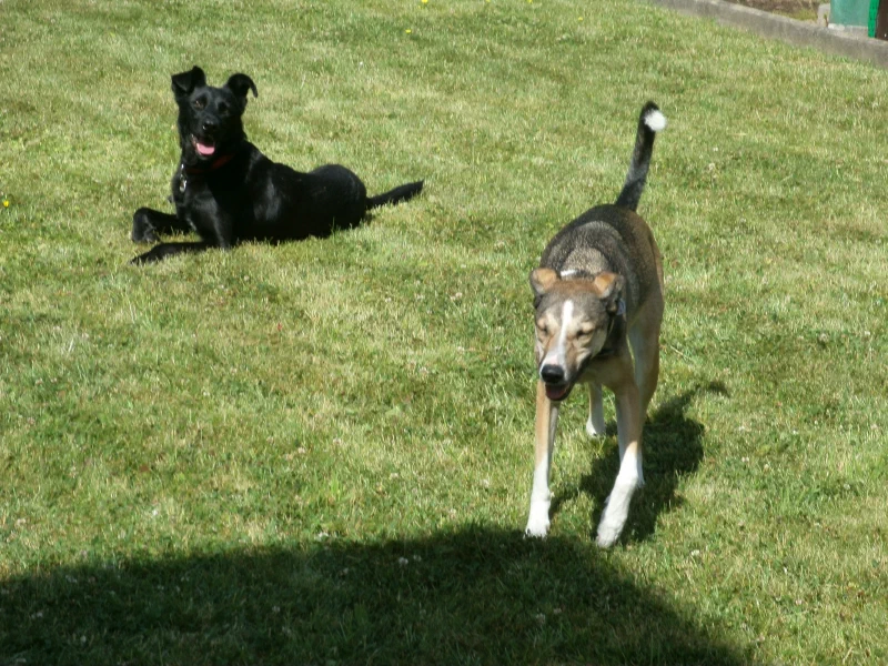 Spaß im Garten