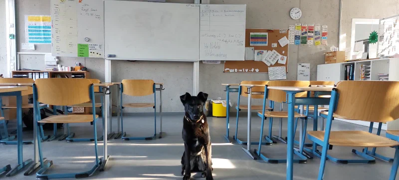 Nach der Schulstunde