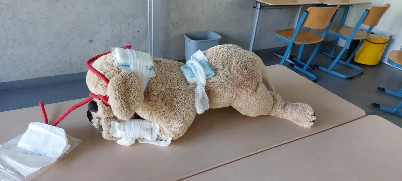 Erste Hilfe am Hund