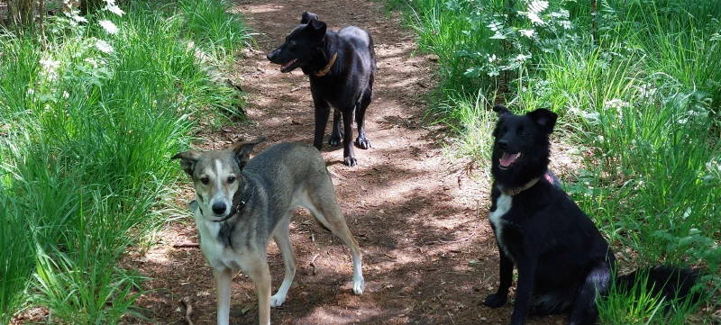 Beim Spaziergang