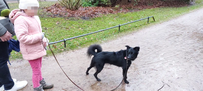 Kamea bei der ehrenamtlichen Arbeit