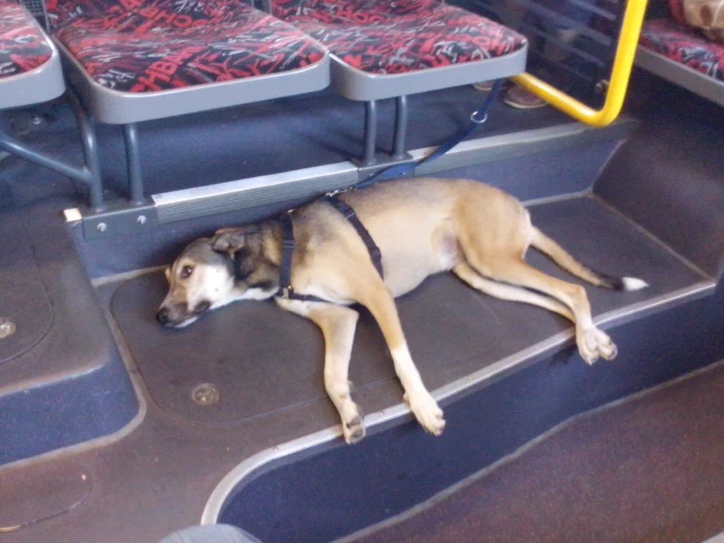 Nach der Arbeit auf dem Heimweg