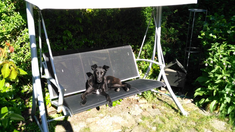 Schaukeln ist toll