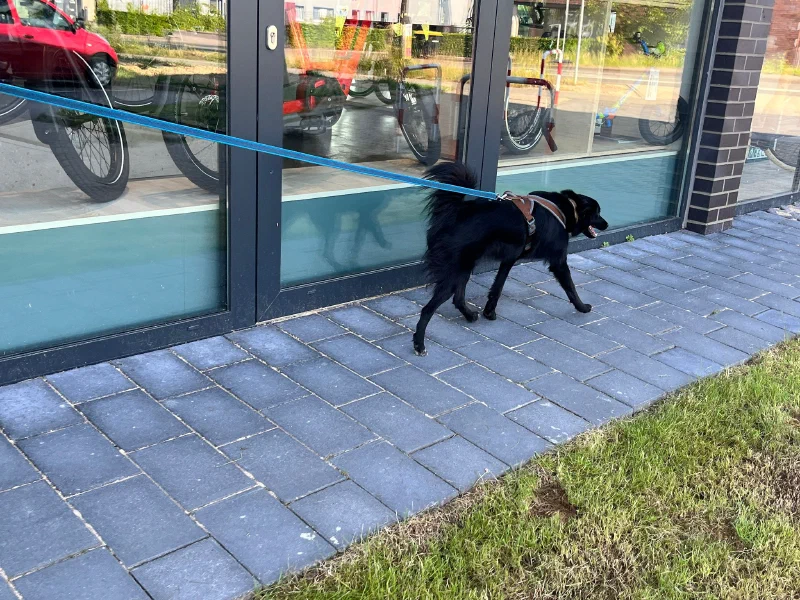 Bei der Personensuche