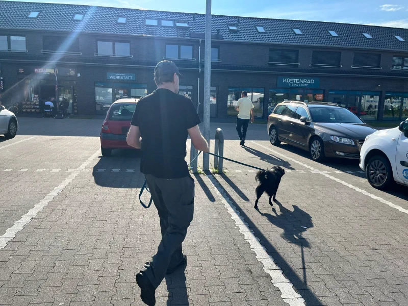 Zielstrebig nach vorn
